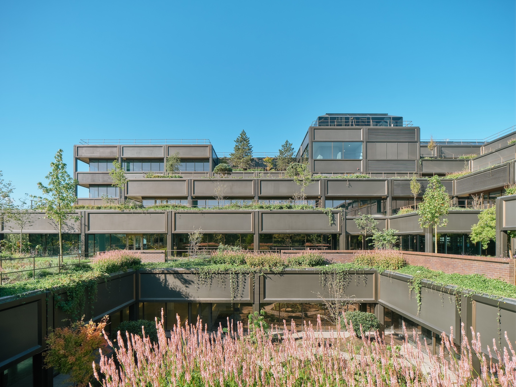 the-hanging-gardens-of-basingstoke-–-adc