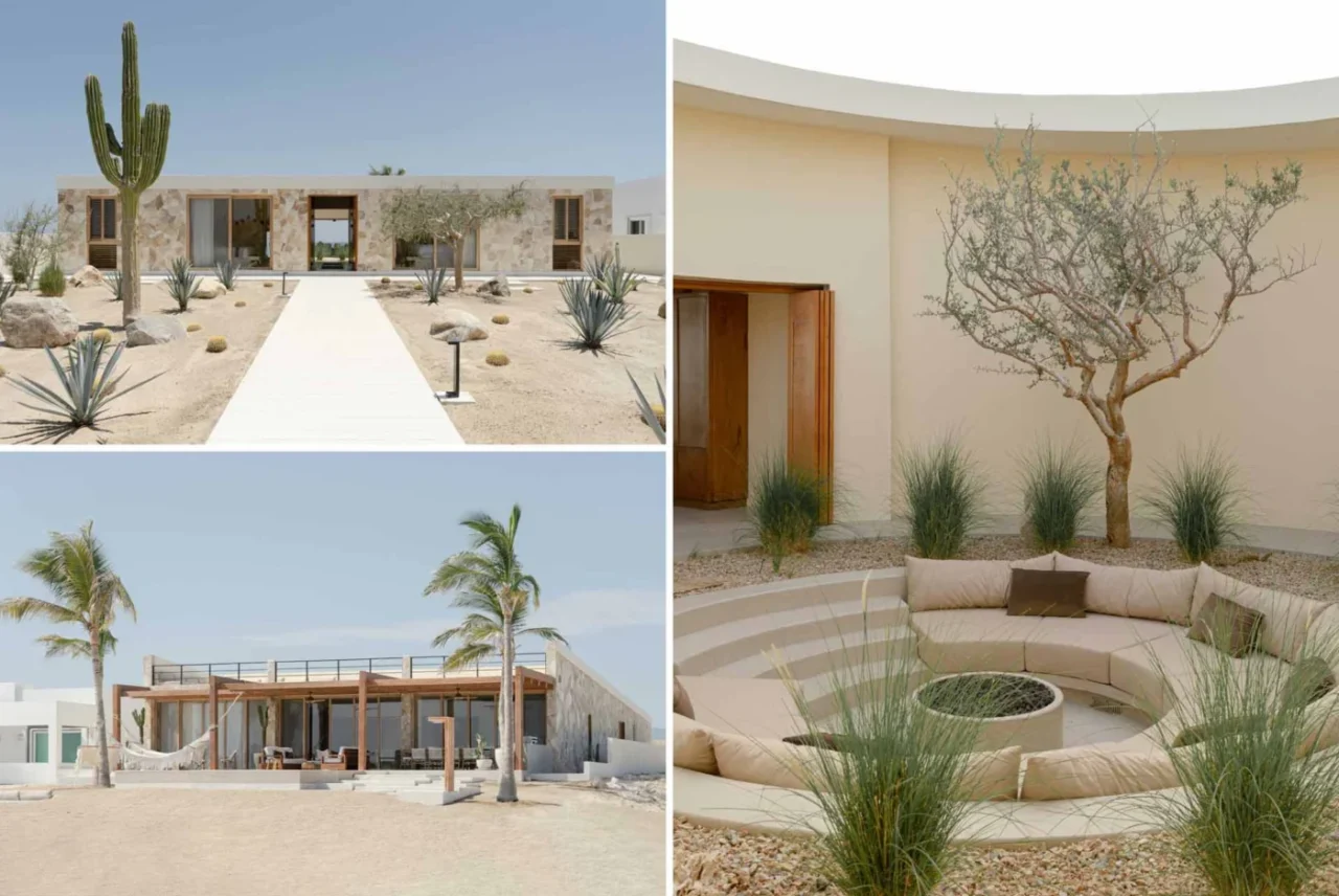 Stone-clad beach house in Mexico with a path lined by desert planting