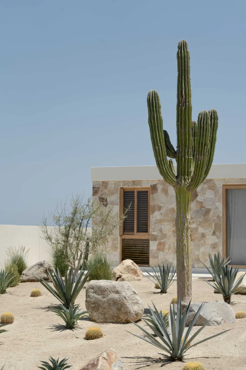 Stone, beige concrete and timber on the facade between beach and mountains
