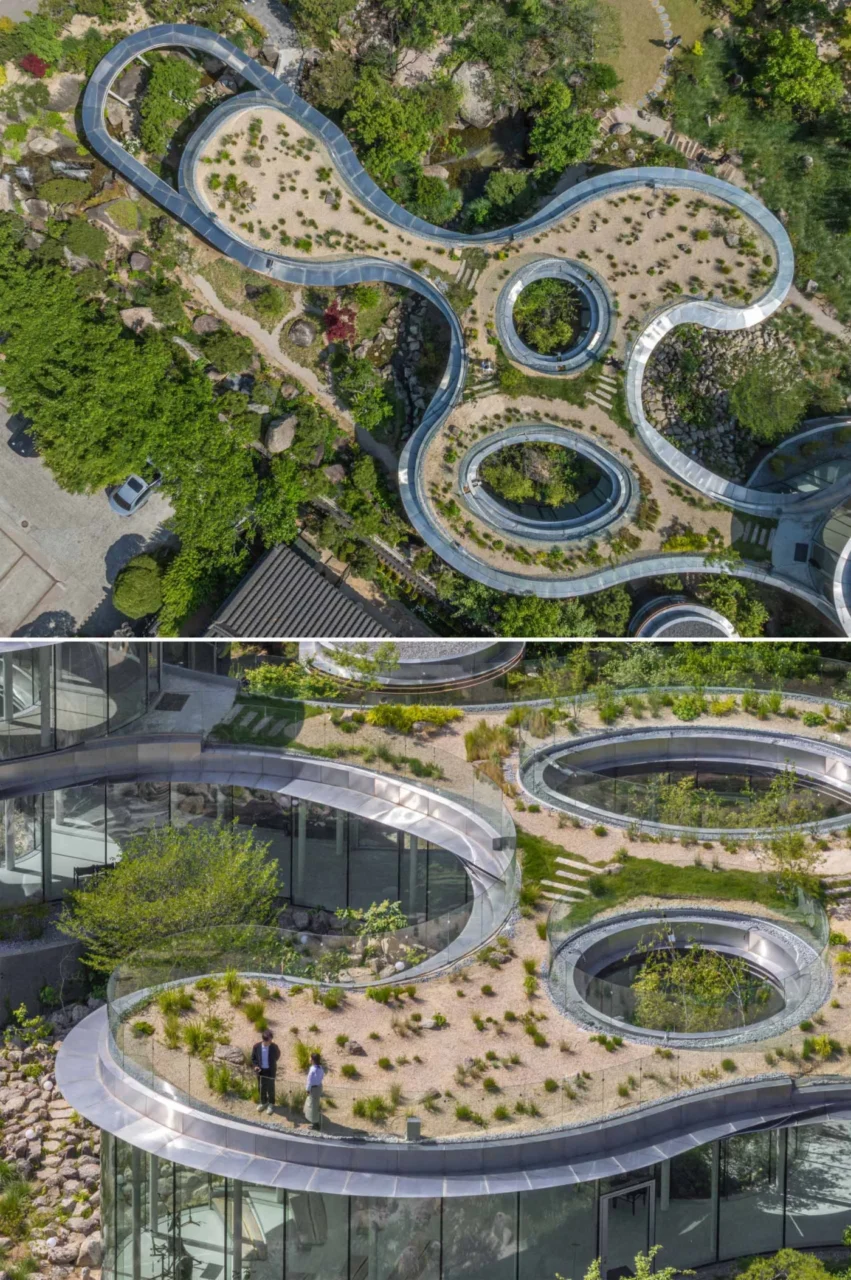 Trees, rocks and planting arranged around the cafe like a forest path