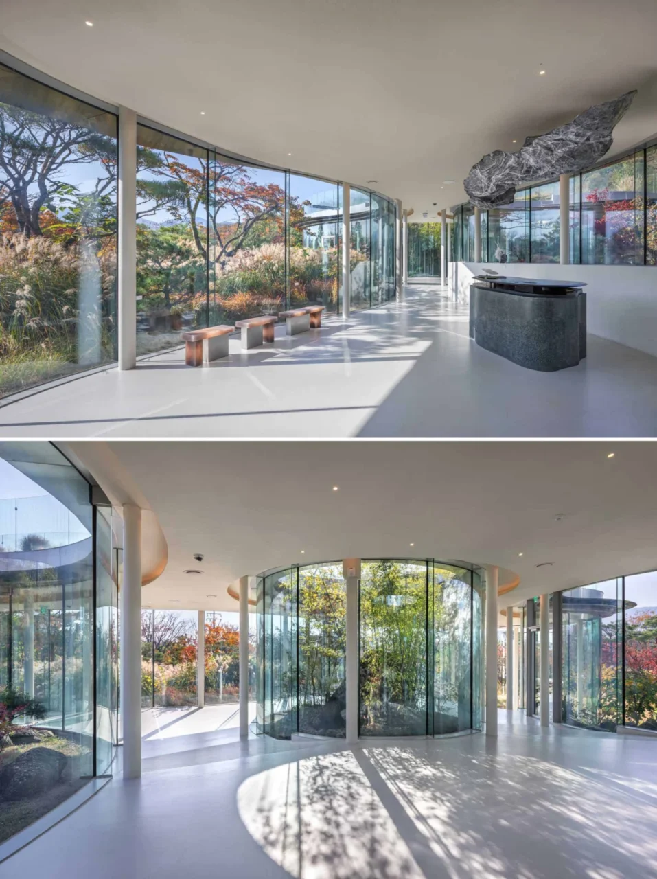 Curved glass wall opening the cafe to the gardens