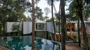 casa-acucena:-a-floating-sanctuary-in-brazil’s-atlantic-rainforest-–-adc