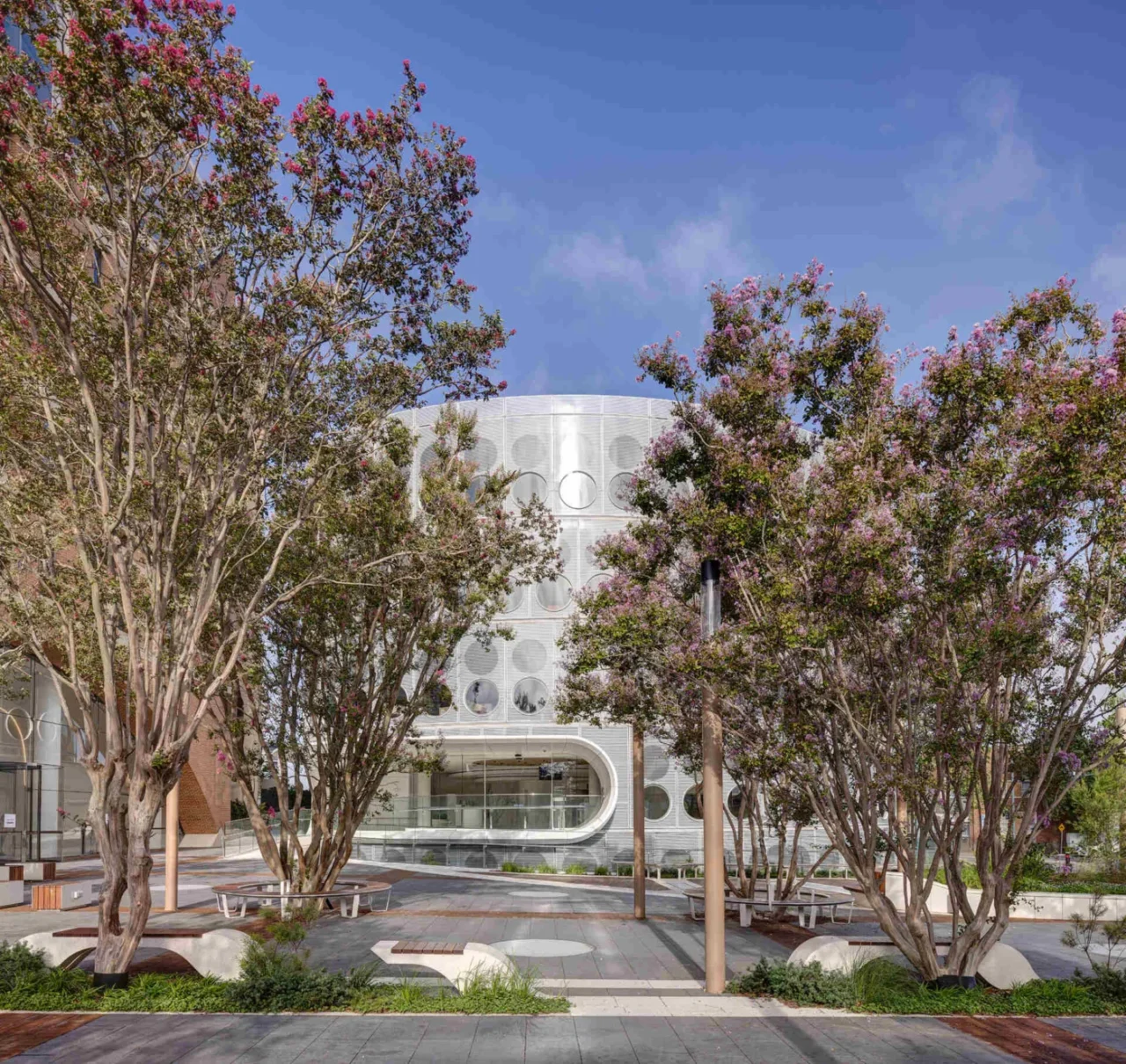 Gathering garden and courtyard around the library, with trees in the plaza