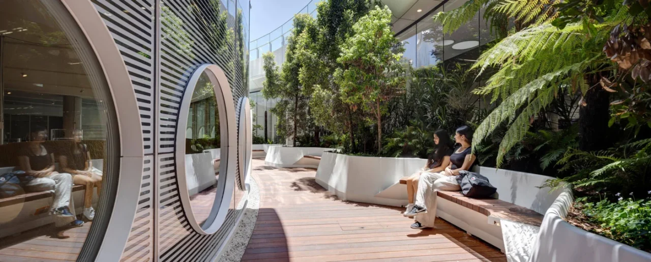 Timber-decked garden with integrated seating, shaded by eucalypts