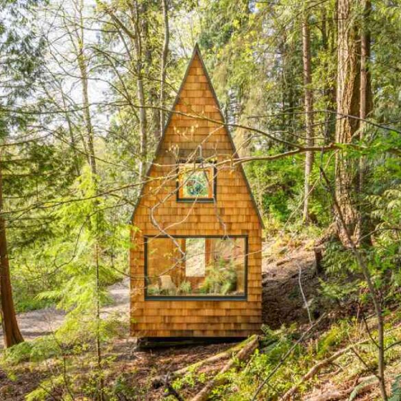this-hidden-chapel-in-the-woods-is-captivating-architecture-lovers