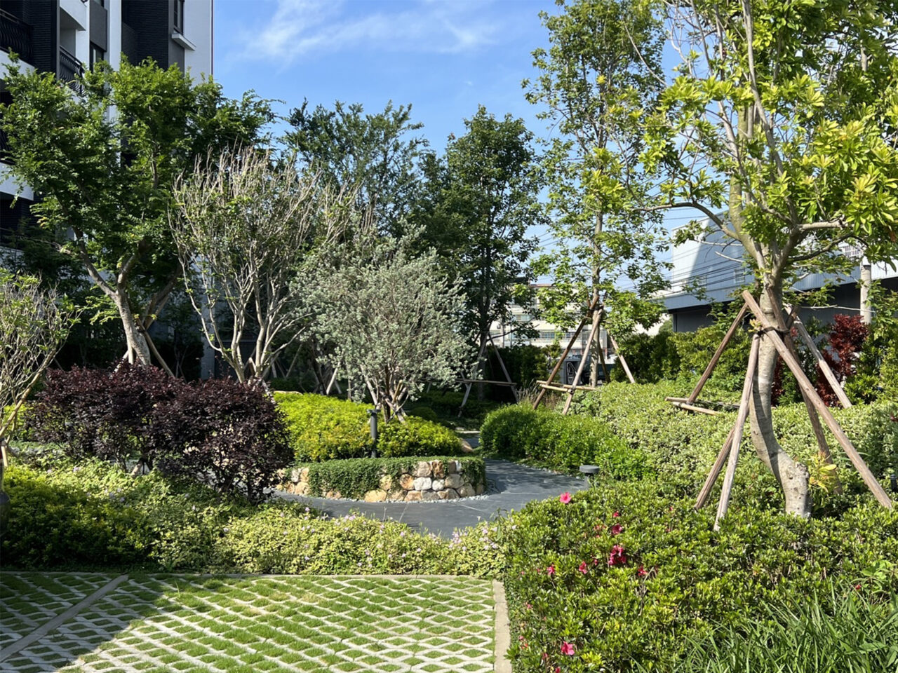 Garden of Green Field
