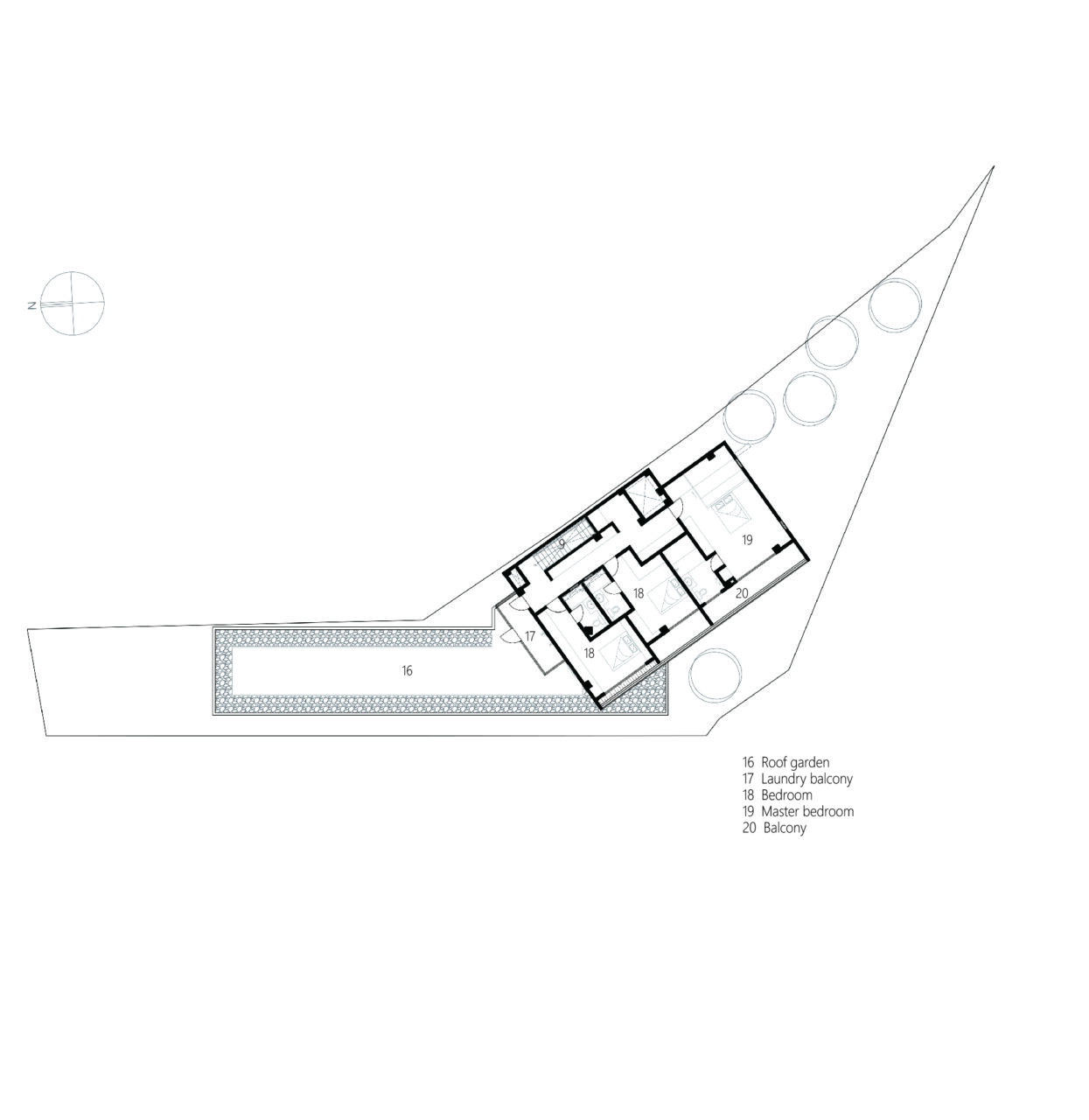 An asymmetric V-shape house