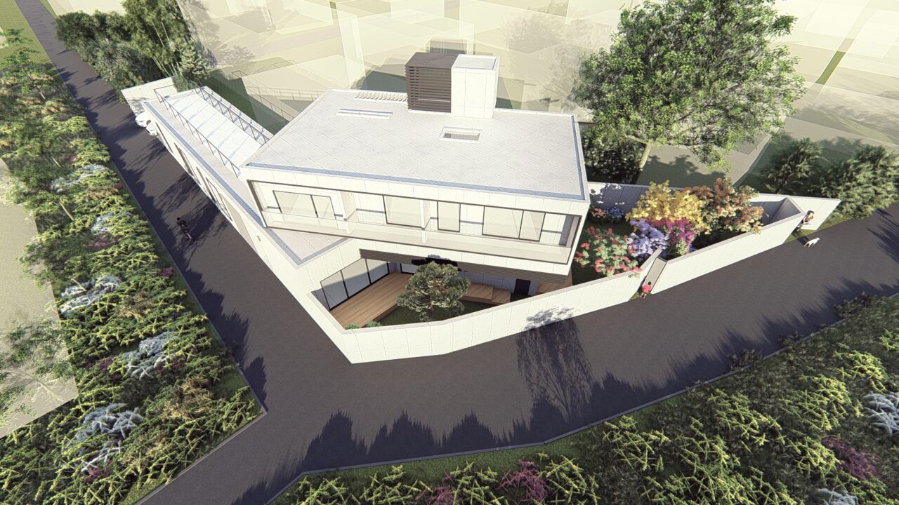 An asymmetric V-shape house