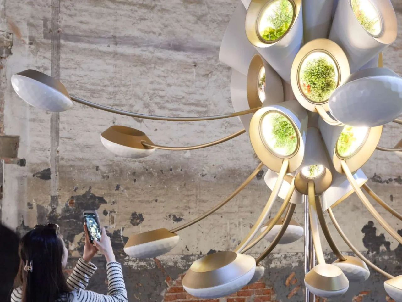 Visitor photographing the Space Garden greenhouse model by Heatherwick Studio, with plants inside its round pods