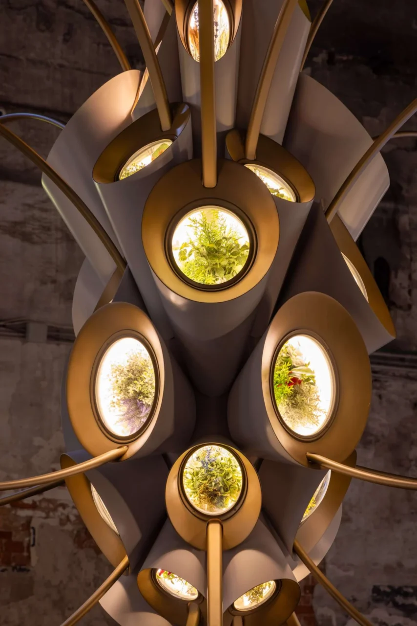 Close view of the Space Garden pods, each holding a different plant