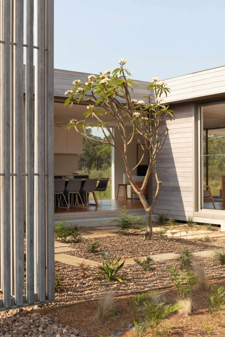 Courtyard wrapped in pale wood slat fencing, with a blossoming tree, sandstone pavers and pebbles