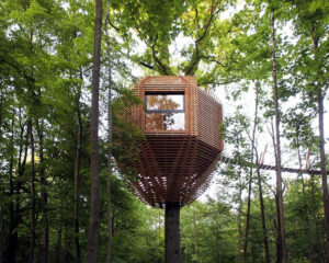 would-you-stay-here?-the-french-treehouse-with-a-rooftop-terrace-hidden-in-the-woods