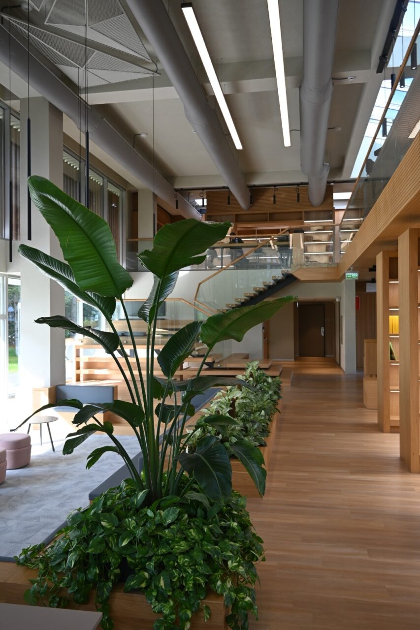 Sabiha ULUSOY Library