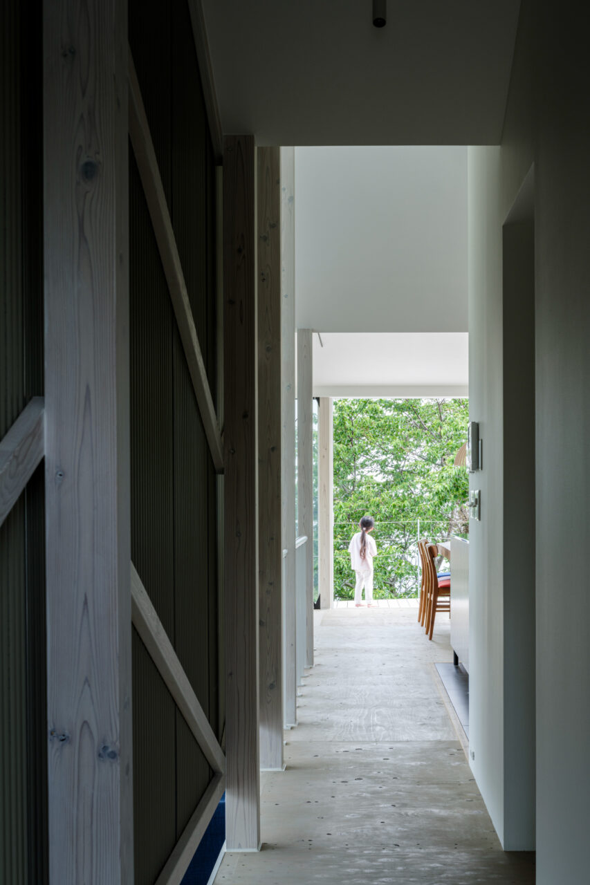 Zig Zag House and Hut