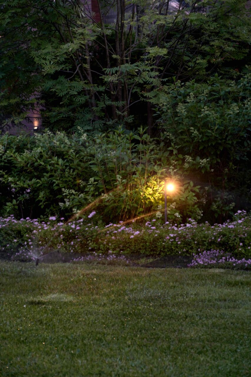 WONDERFUL GARDEN