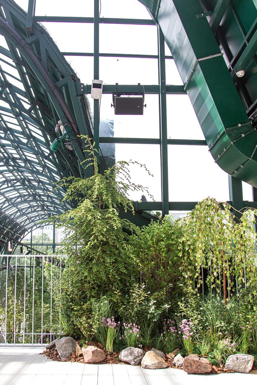 “The Green Market” project at the “Summer in Moscow festival”
