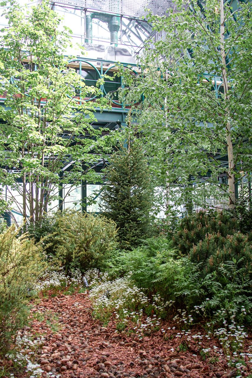 “The Green Market” project at the “Summer in Moscow festival”